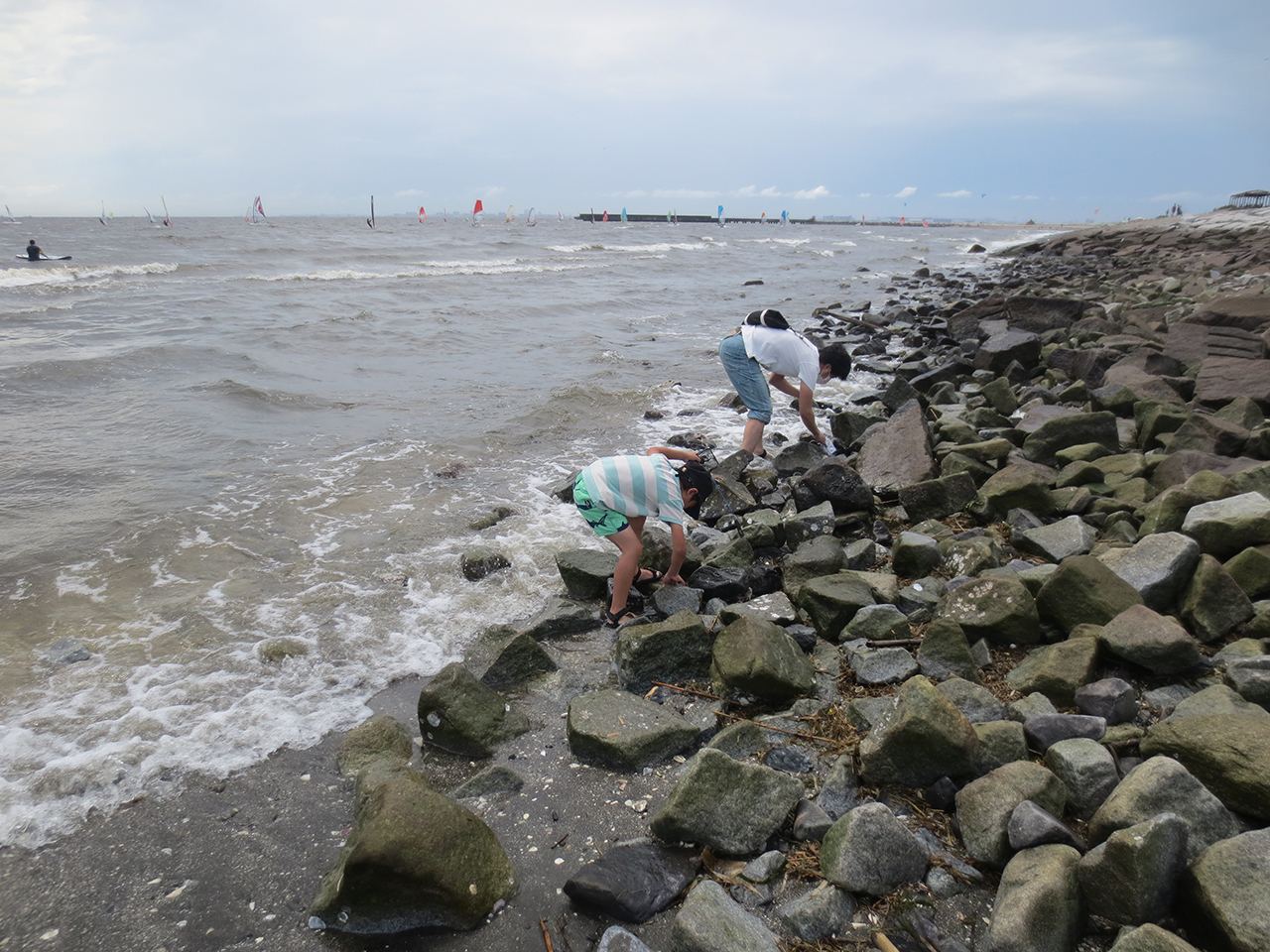 岩場でカニや魚を見つけている写真