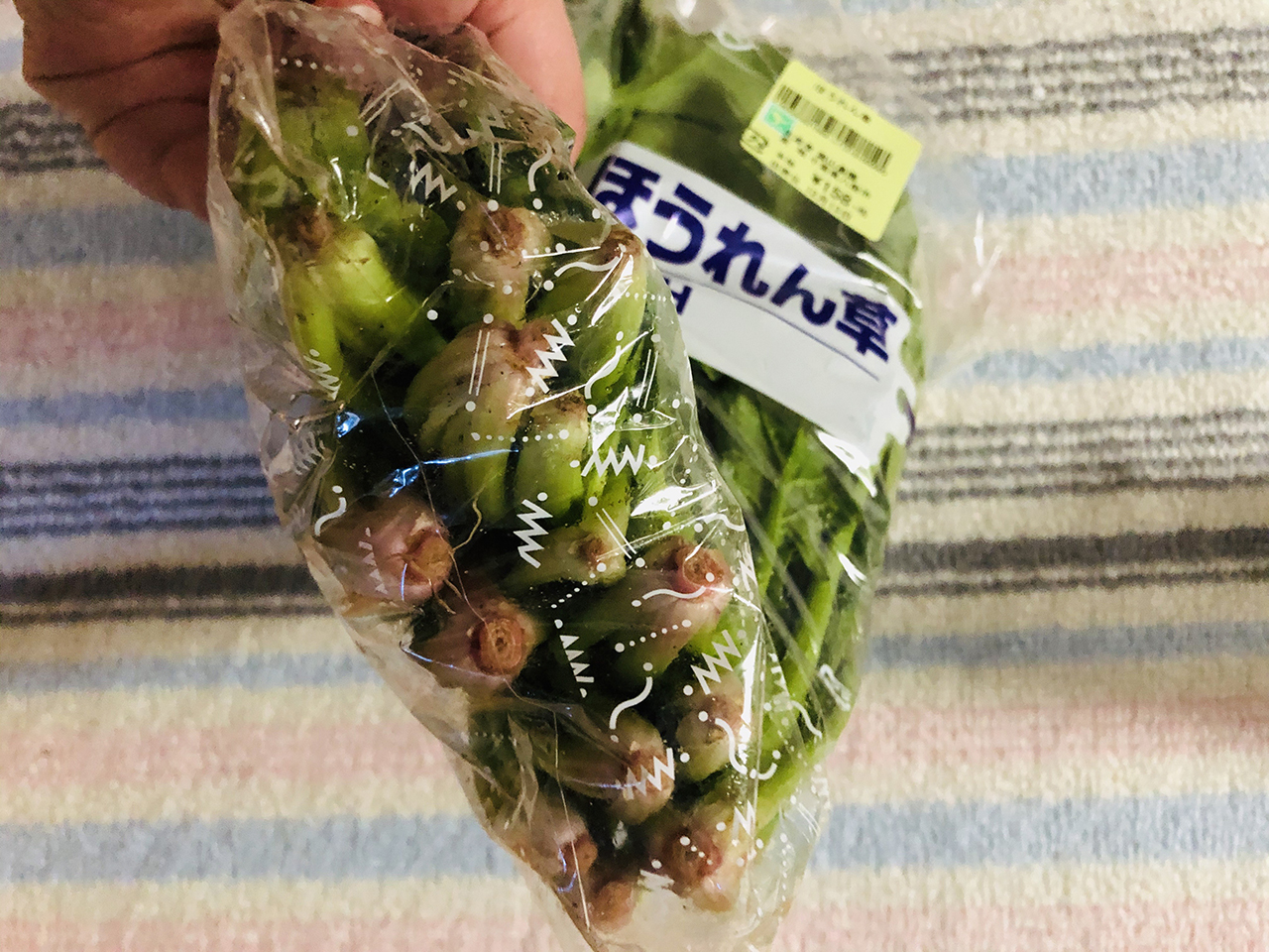 幕張パーキングエリア下り 食の駅 パサール幕張店 で地元野菜をたくさん購入しました 幕張パーキングエリア下り 食の駅 パサール幕張店 で地元野菜をたくさん購入しました