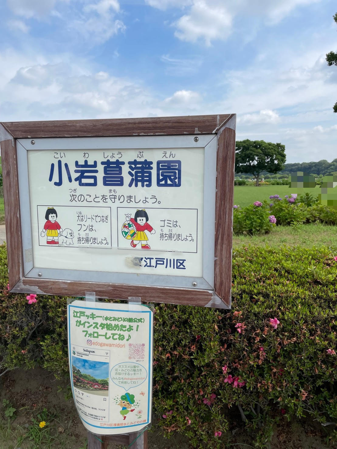 小岩菖蒲園の外観